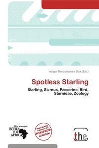 Spotless Starling