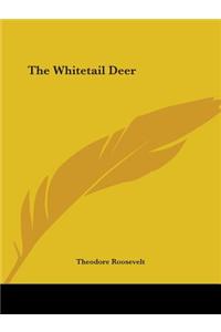 The Whitetail Deer