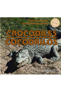 Crocodiles/Cocodrilos