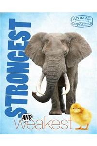 Strongest and Weakest. Camilla de La Bdoyre