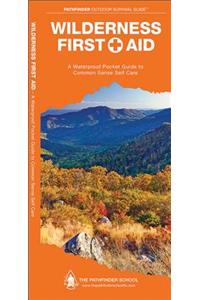 Wilderness First Aid