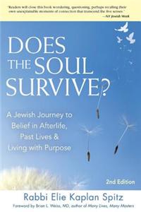 Does the Soul Survive? 2/E: A Jewish Journey to Belief in Afterlife, Past Lives & Living with Purpose