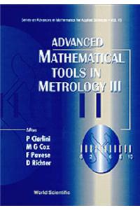 Advanced Mathematical Tools in Metrology
