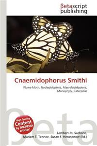 Cnaemidophorus Smithi