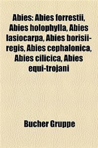 Abies: Abies Forrestii, Abies Holophylla, Abies Lasiocarpa, Abies Borisii-Regis, Abies Cephalonica, Abies Cilicica, Abies Equ