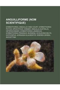 Anguilliforme (Nom Scientifique): Gymnothorax, Anguille a Nez Court, Gymnothorax Pictus, Ophichthus, Conger, Anguilla Australis, Heteroconger