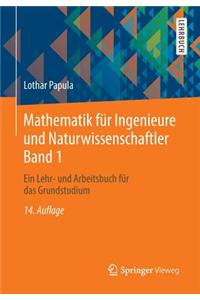Mathematik Fur Ingenieure Und Naturwissenschaftler Band 1