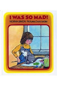 I Was So Mad!
