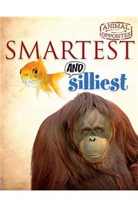 Smartest and Silliest