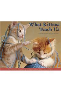 What Kittens Teach Us 2012 Calendar