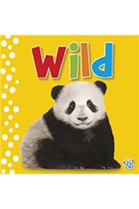 Touch & Feel - Wild