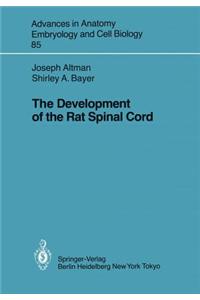 Development of the Rat Spinal Cord
