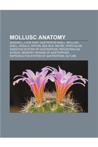 Mollusc Anatomy: Seashell, Love Dart, Gastropod Shell, Mollusc Shell, Radula, Siphon, Sea Silk, Nacre, Operculum