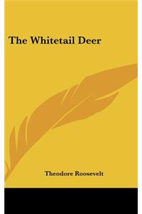 The Whitetail Deer