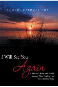 I Will See You Again: A Mother's Story and Sacred Journey After Finding Her Son's Lifeless Body