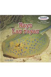 Rays / Las Rayas