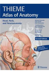 Head, Neck, and Neuroanatomy (Thieme Atlas of Anatomy)