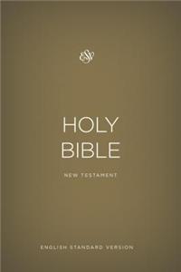 Outreach New Testament-ESV