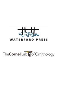 Feeder Birds of the Midwest: A Folding Pocket Guide to Common Backyard Birds