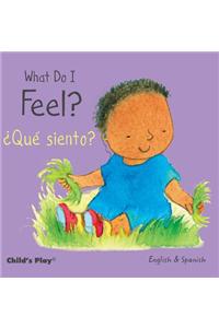 What Do I Feel? / Que Siento?