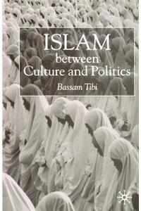 Islam Between Culture and Politics