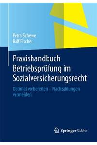 Praxishandbuch Betriebsprufung Im Sozialversicherungsrecht: Optimal Vorbereiten - Nachzahlungen Vermeiden