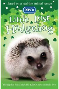 Little Lost Hedgehog