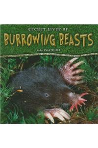 Secret Lives of Burrowing Beasts