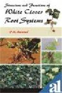 Structure and Functions of White Clover Root Systems