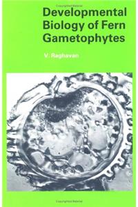 Developmental Biology of Fern Gametophytes