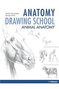 Anatomy Drawing School Animal Anatomy