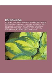 Rosaceae: Alchemilla, Potentilla, Prunus, Pyrinae, Rosa, Rubus, Polylepis, Alchemilla Sect. Alpinae, Alchemilla Sect. Coriaceae