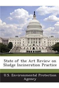 State of the Art Review on Sludge Incineration Practice