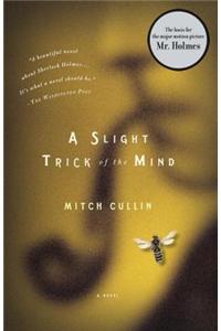 A Slight Trick of the Mind: