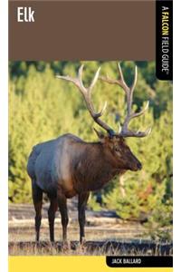 Elk: A Falcon Field Guide