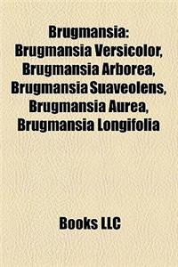 Brugmansia: Brugmansia Versicolor, Brugmansia Arborea, Brugmansia Suaveolens, Brugmansia Aurea, Brugmansia Longifolia
