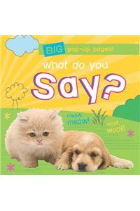 Photographic Pop-Up: What Can You Say?