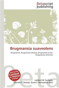 Brugmansia Suaveolens