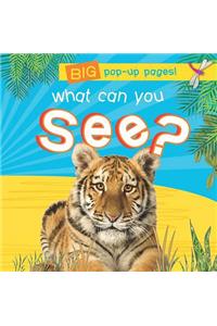 Photographic Pop-Up: What Do You See?