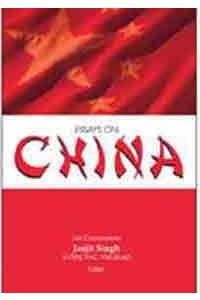 Essays on China
