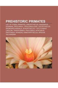 Prehistoric Primates: List of Fossil Primates, Oreopithecus, Saadanius, Eosimias, Proconsul, Proconsulidae, Catopithecus, Ekgmowechashala