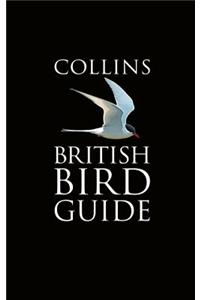 Collins British Bird Guide (Collins Pocket Guide)