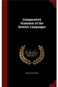 Comparative Grammar of the Semitic Languages