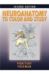 Neuroanatomy to Color and Study
