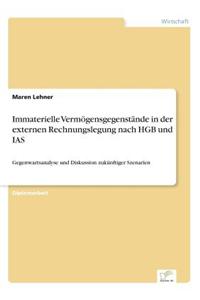 Immaterielle Vermogensgegenstande in Der Externen Rechnungslegung Nach Hgb Und IAS