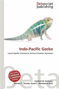 Indo-Pacific Gecko