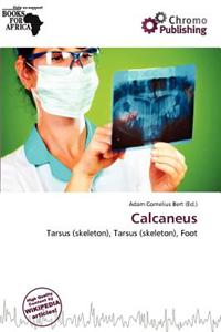 Calcaneus
