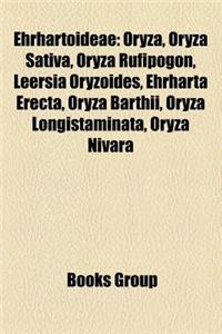 Ehrhartoideae: Oryza, Oryza Sativa, Oryza Rufipogon, Leersia Oryzoides, Ehrharta Erecta, Oryza Barthii, Oryza Longistaminata, Oryza N