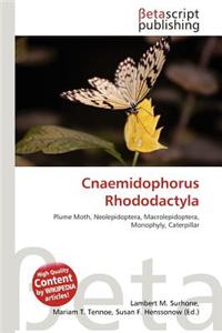 Cnaemidophorus Rhododactyla