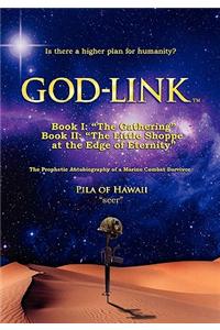 God-Link Book I: "The Gathering" the Prophetic Autobiography of a Marine Combat Survivor.